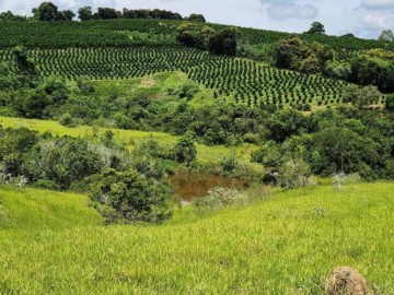 Fazenda  Venda